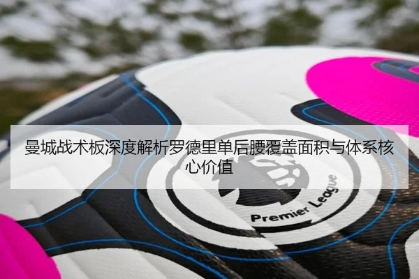 曼城战术板深度解析罗德里单后腰覆盖面积与体系核心价值