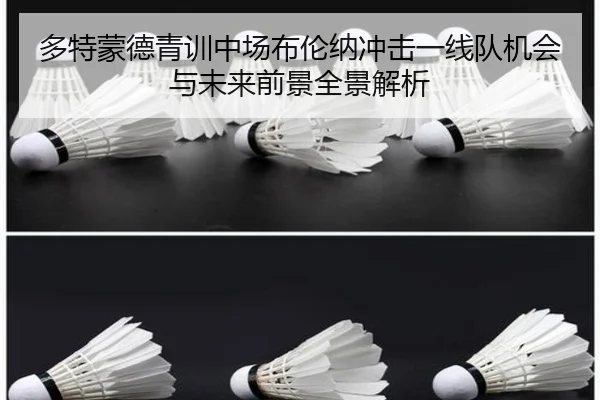 多特蒙德青训中场布伦纳冲击一线队机会与未来前景全景解析