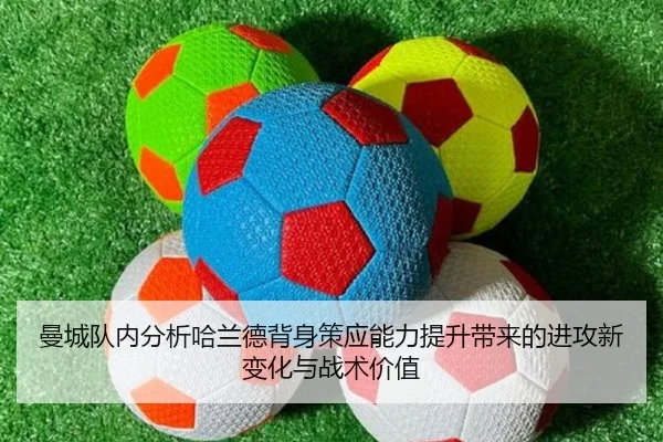 img_1782163693959_623_1_418.jpg